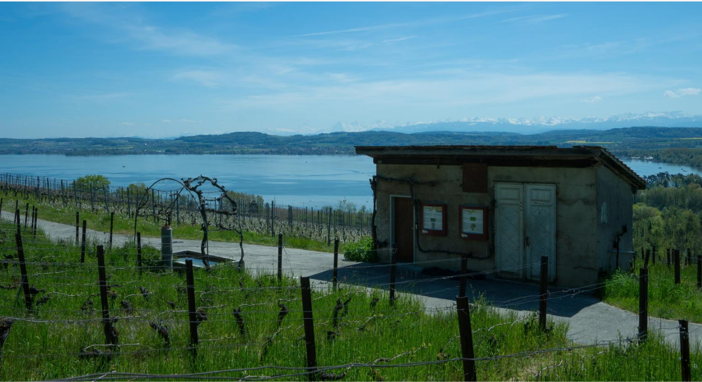 Oenotourisme, les capites de vignes vaudoises vont pouvoir retrouver une seconde vie