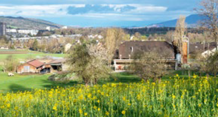 Différences de pondération des objectifs de la politique agricole selon les régions linguistiques