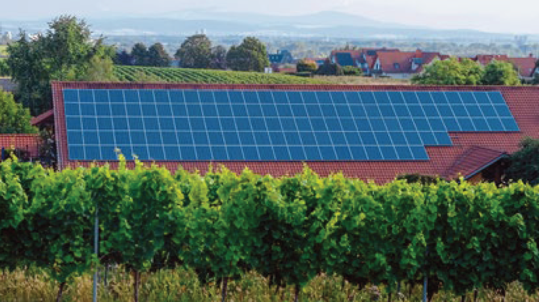 Energie et durabilité cave viticole