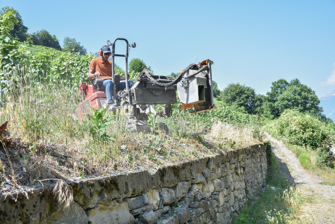 Sécurité au travail et protection de la santé dans le secteur vitivinicole